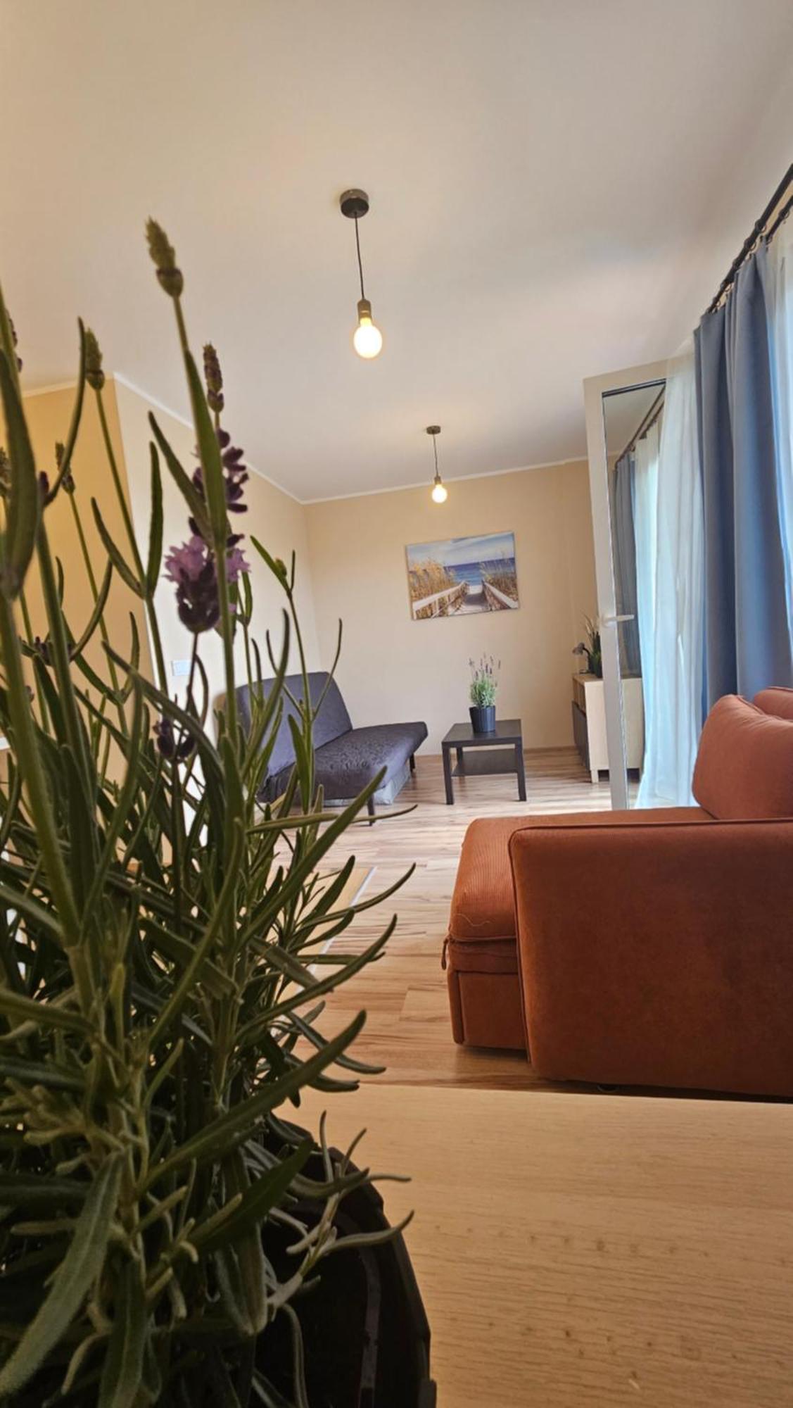 M&K Apartament Ptasi Raj - Wyspa Sobieszewska Gdaňsk Exteriér fotografie